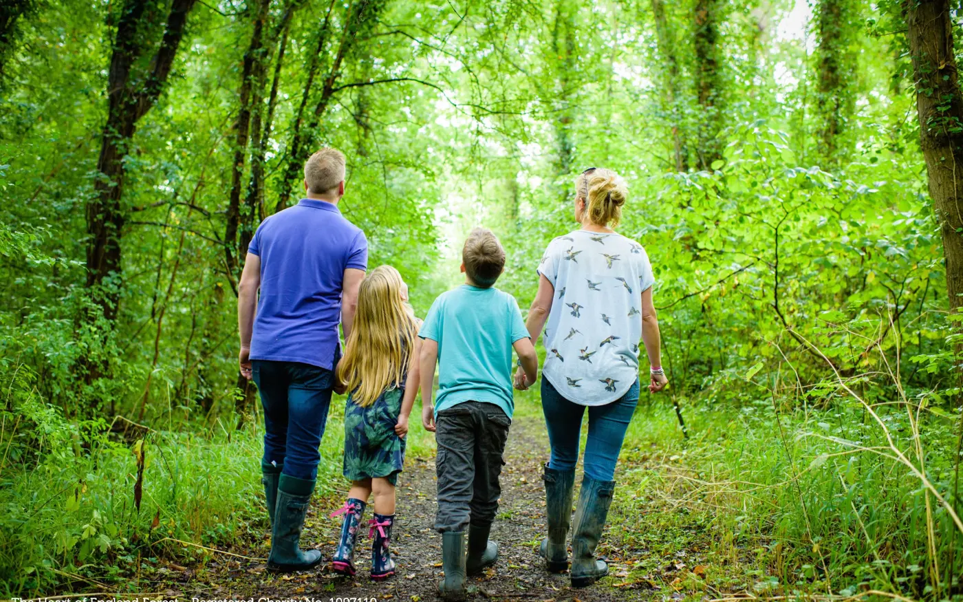 A family of four, wearing casual clothes and boots, walks hand in hand along a lush forest trail surrounded by vibrant green trees and foliage.
